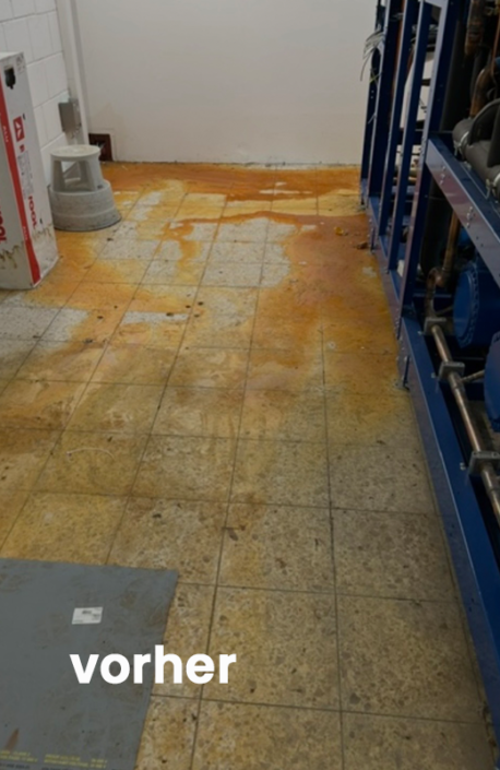 Proclean_150