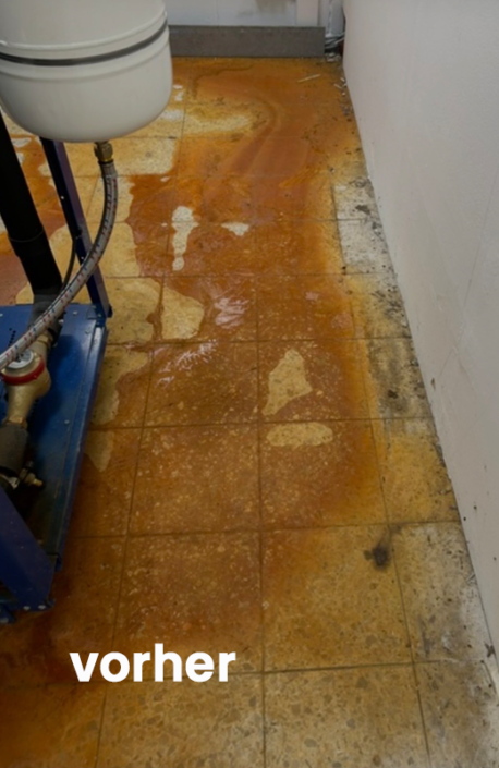 Proclean_154